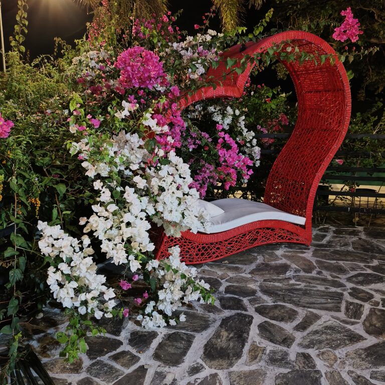 The Loudest Welcome: Bougainvilleas in Paluan, Mindoro
